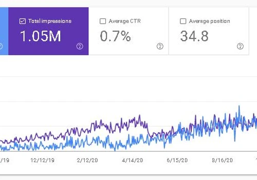 Long Time Client Seo Results