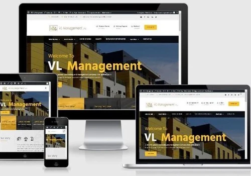 Website for Vl Management