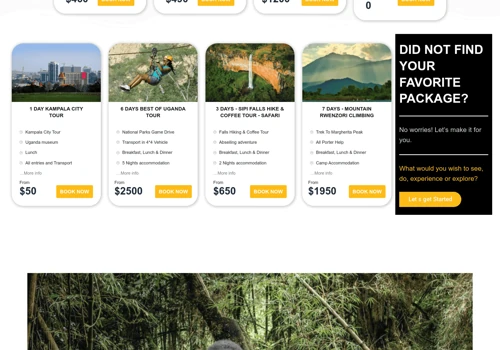 Website Design for Havy Tours