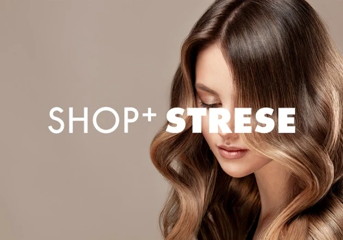 eCommerce Concept: Shoperstellung, Google Ads, SEO