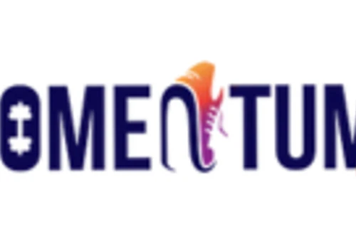 Momentum OP Dominates Google Rankings