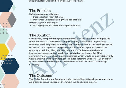 Global Data Storage Company Case Study