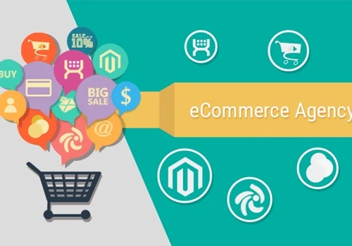 eCommerce agency needed help until they could hire