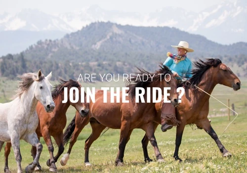 Mustang Maddy Website