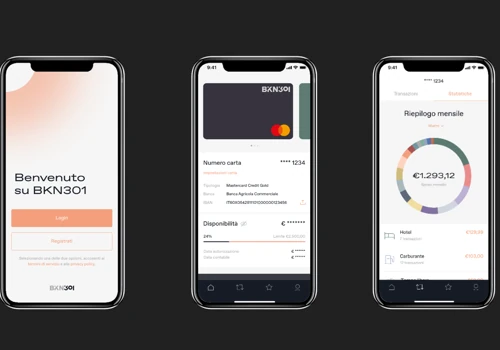 BKN301 Wallet