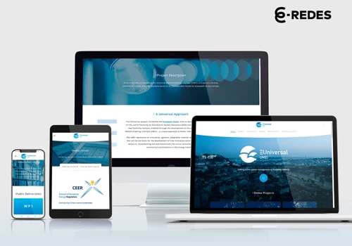 Website Development for E-REDES European Project
