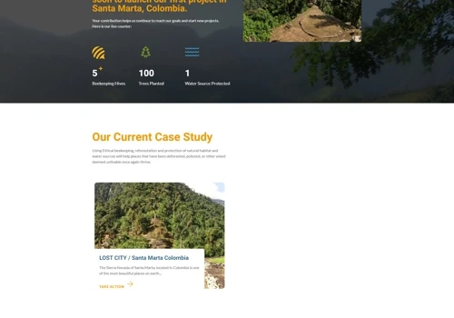 Website for Non-Profit
