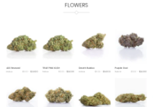 Web store creation for online dispensary