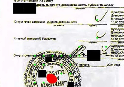Document recognition and analysis module