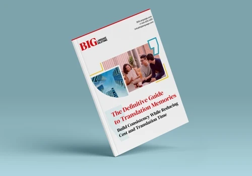 BIG Language Solutions eBook