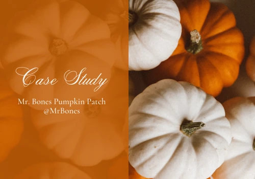 Mr. Bones Pumpkin Patch Case Study