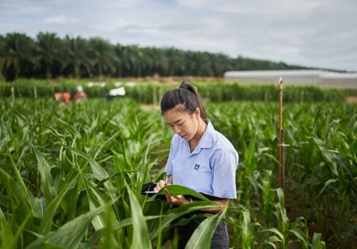 Yara | South East Asia Corporate Photographer
