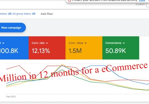 1.5 Million in 12 months for a eCommerce Shop