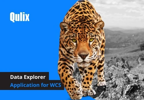 Data Explorer Application for WCS