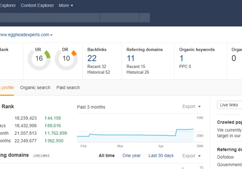SEO Services for IT Companies