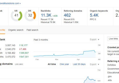 SEO Consulting Services for IT Company