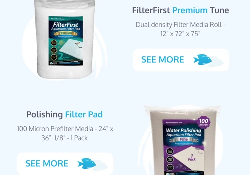Email Marketing for Online Retailer