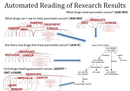 Automated Reading in Model Context
