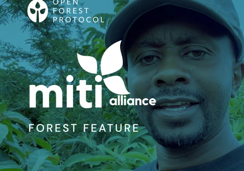 Web & Mobile App Dev for Environmental Services