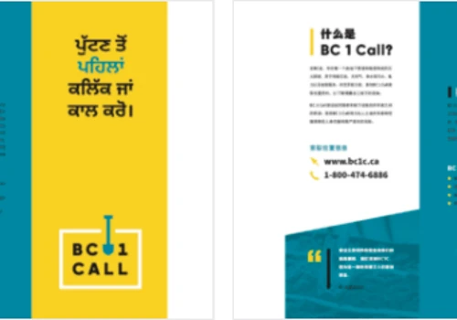 Marketing Adaptation into Chinese & Punjabi