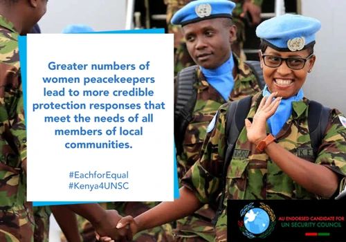 United Nations Security Council Campaign Posters