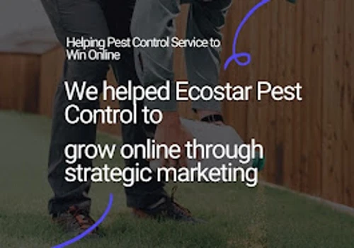 SEO & Digital Growth for Ecostar Pest Control