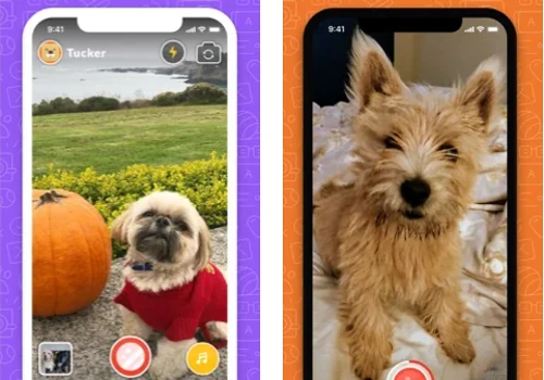PetSelfie