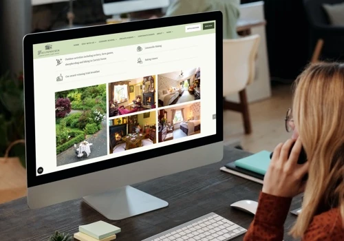 Professional web development & web design