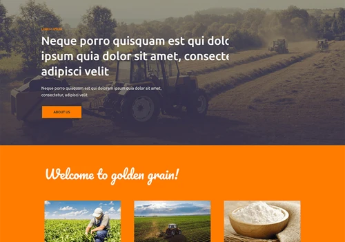grewalgoldengrain