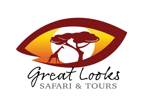 Web Development and On-Page SEO for Tour Company