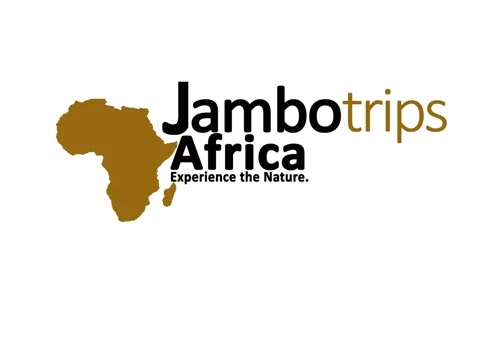 Web Development and  On-Page SEO for Travel Agency in Zanzibar