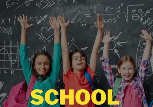 School Website With CMS