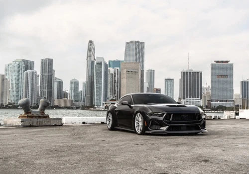 Ford Mustang S650 |Carbon fiber splitter
