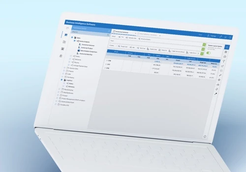 A Business Intelligence software
