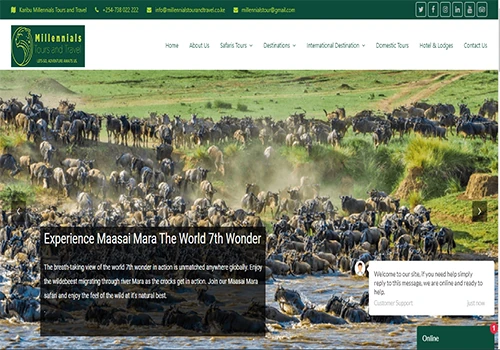 Millenial Tours and Travel Website