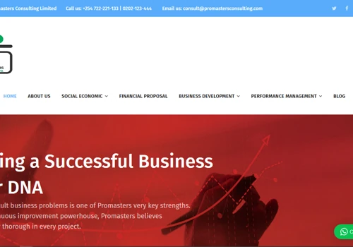 Promasters Consulting Services
