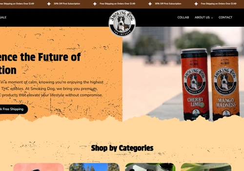 Shopify Custom Theme & Sections