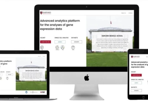 Harvard Medical School Website Development