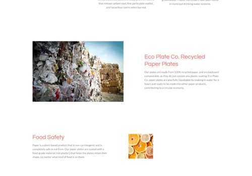 Web Development for Startupwize
