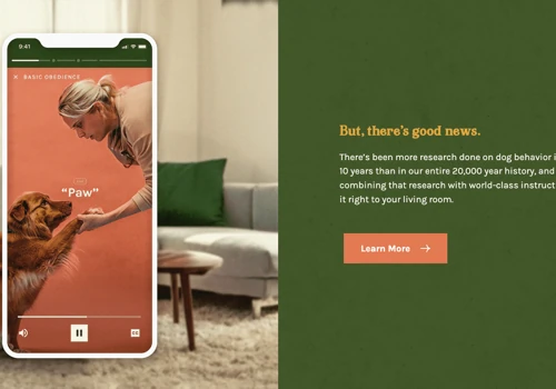 Webflow Web Development for Dog Training SaaS