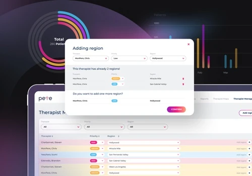 Medical Record Portal