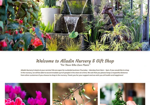 Custom WordPress Website