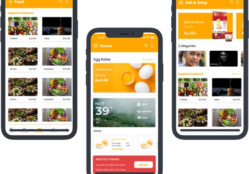 Eggoz : E-Marketplace