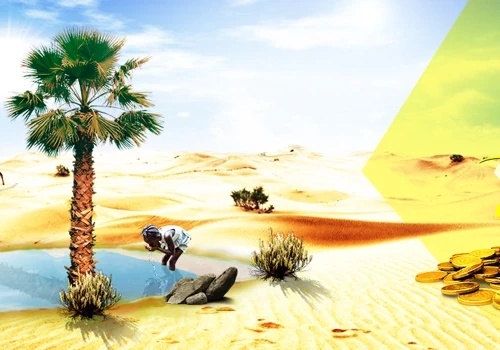 Oasis Capital