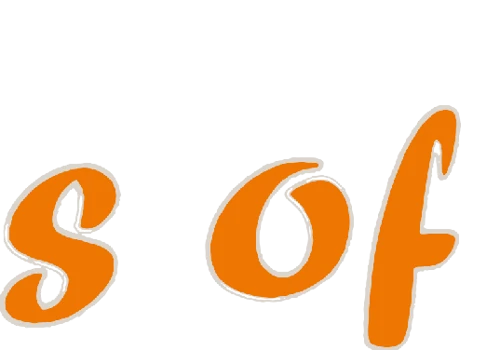 Flavors Of India Web Design