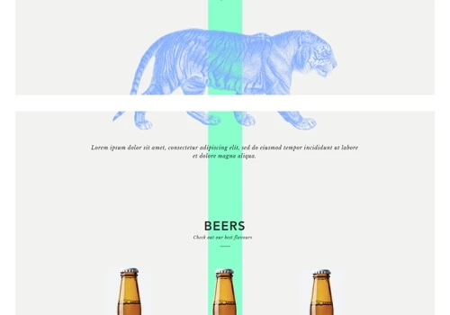 Beverage Ecommerce Website Design