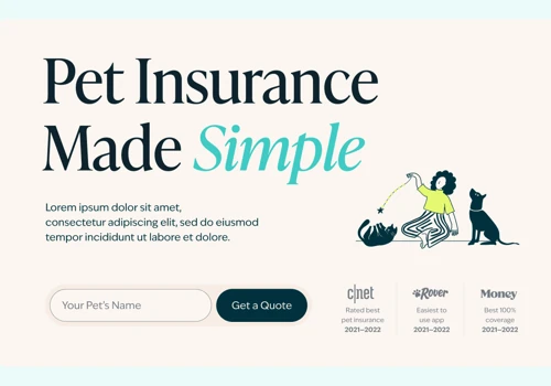 Web Design & Development for Pet Insurance Rebrand