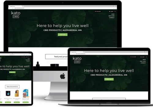 New CBD E-commerce Website