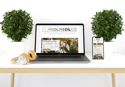 New E-commerce Site for Food Products