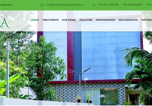 Website Development for Ayurveda Hospital in Alpy